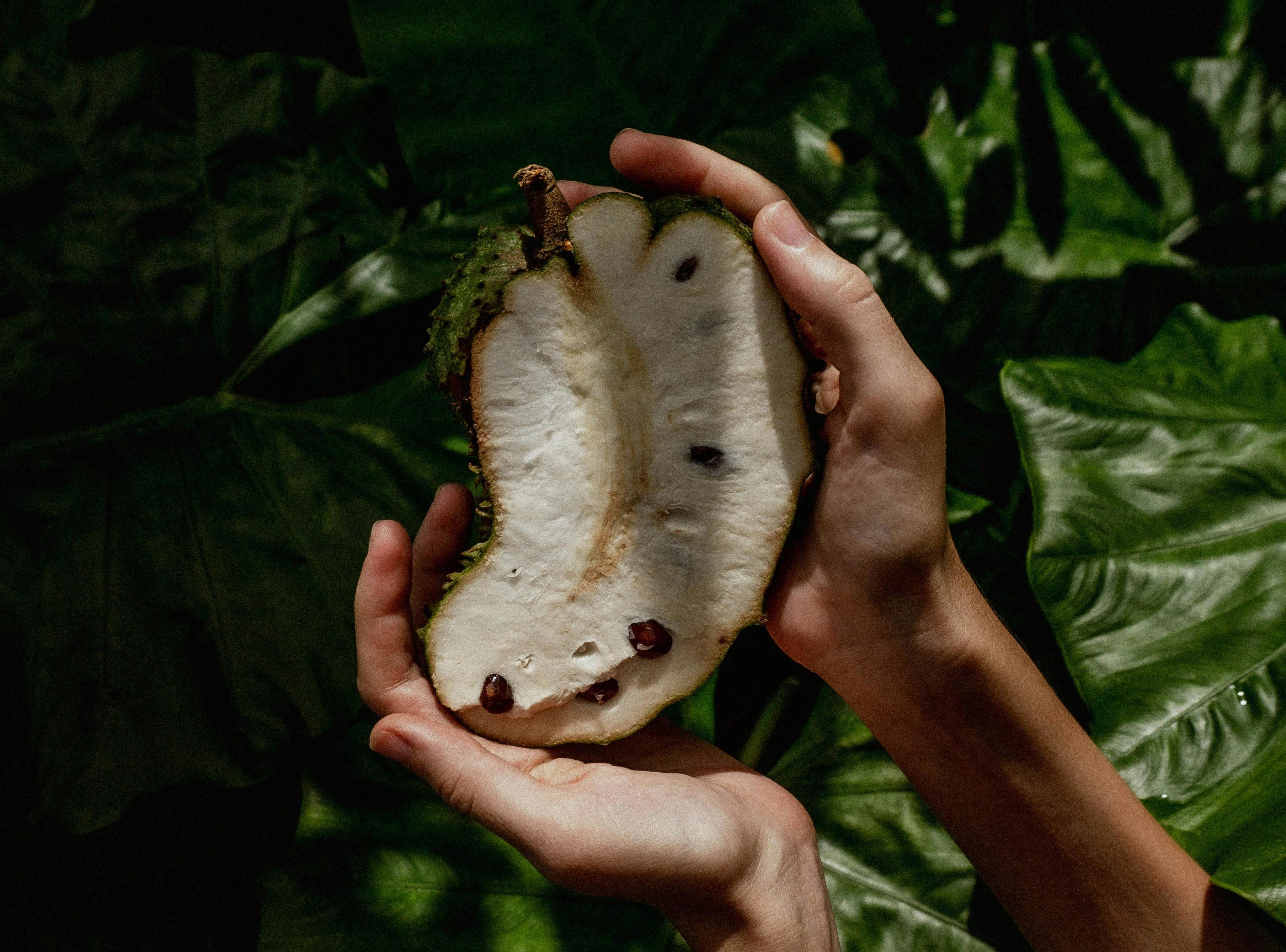 Biela dužina vo vnútri ovocia obsahuje množstvo antioxidantov. FOTO: Pexels.com