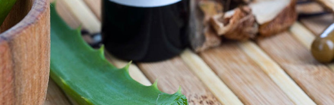 aloe vera