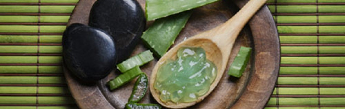 aloe vera