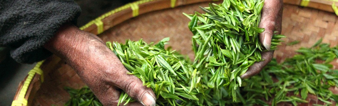 Ako na chudnutie so zeleným čajom?