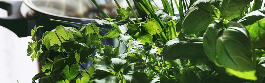 Využite silu byliniek vo svoj prospech, niektoré sú dobré na močové cesty. FOTO: Pexels.com