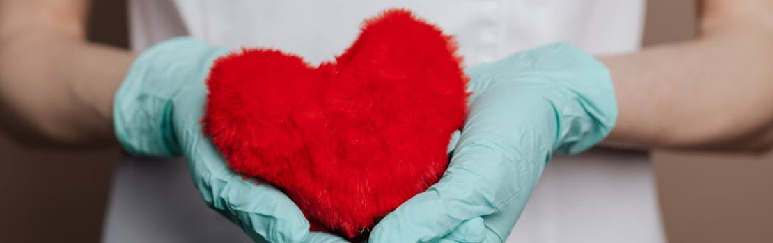 Srdce si zaslúži vašu pozornosť,  ide o najdôležitejší telesný orgán. Foto: Pexels.com