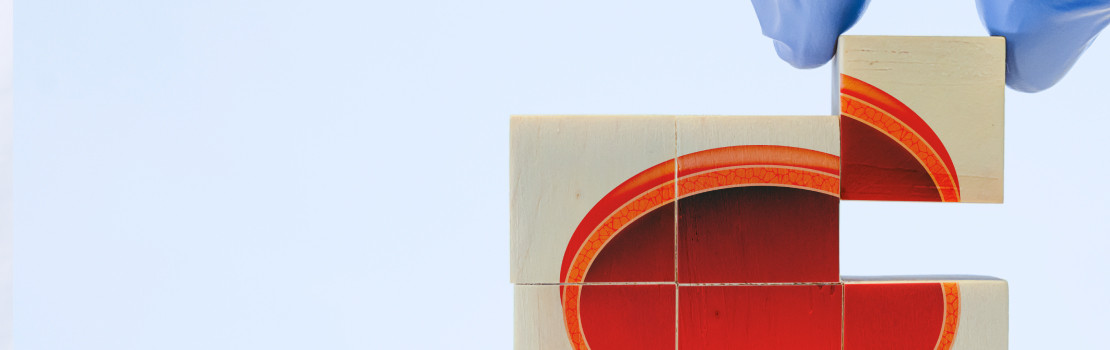 Zdravie prostaty a úľava od bolesti s prírodným doplnkom Zerex Kotvičník