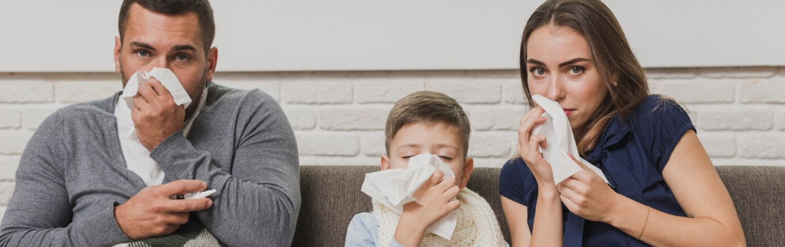 Huba shiitake a Zerex Chaga ako podpora imunity a zdravia srdca