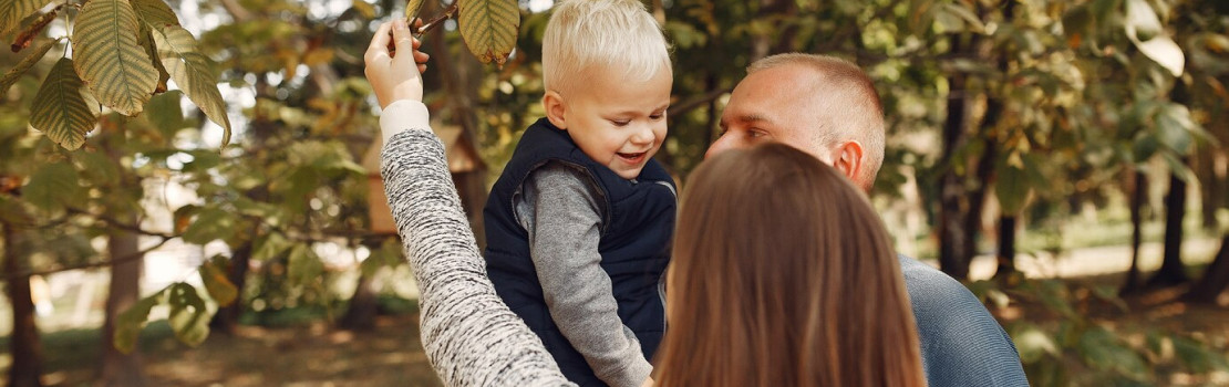 Hliva ustricová a Zerex Chaga – zdravá kombinácia z prírody pre imunitu