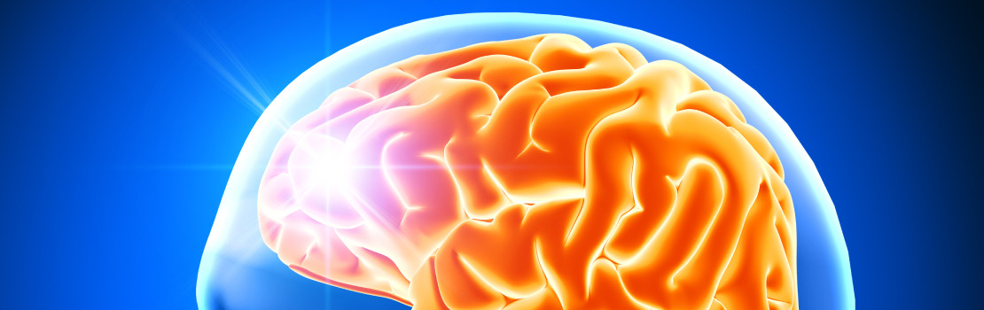 Hericium erinaceus – prírodná huba podporujúca mozog a pamäť