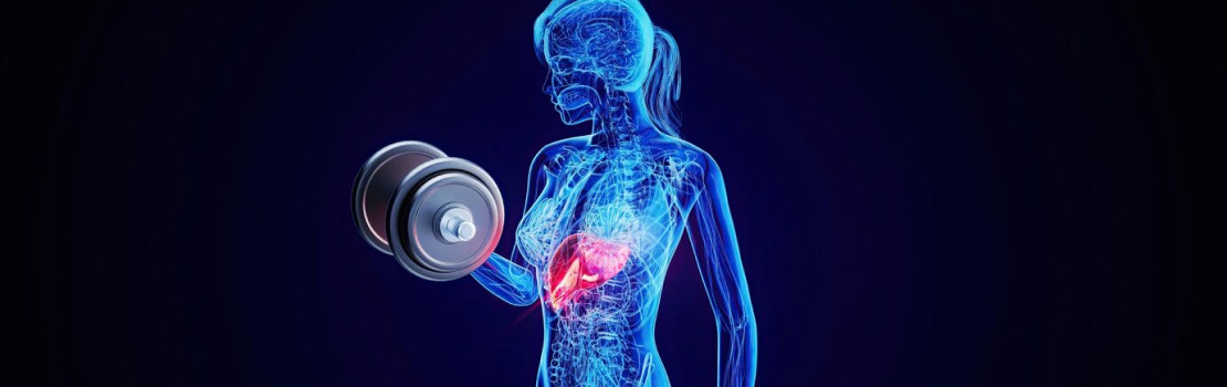 Grafické znázornenie stukovatenej pečene a jej prejavov