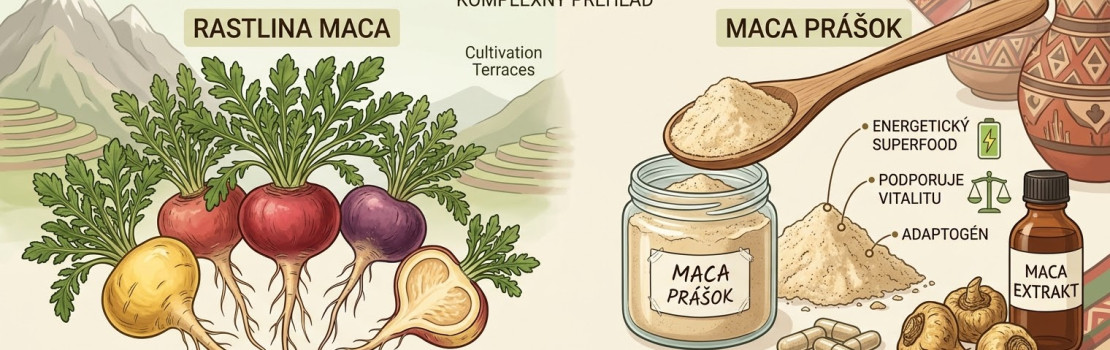 Maca peruánska